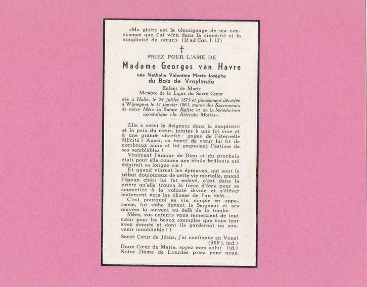 DP du Bois de Vroylande Nathalie (Adel), Verzamelen, Bidprentjes en Rouwkaarten, Bidprentje, Verzenden