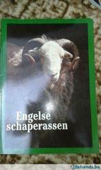 Boek Engelse schapenrassen, Ophalen of Verzenden, Zo goed als nieuw, Overige diersoorten