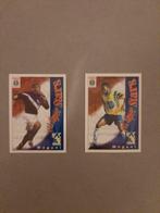 Panini Sowenta Zuid-Afrika 1999-2000, Ophalen of Verzenden