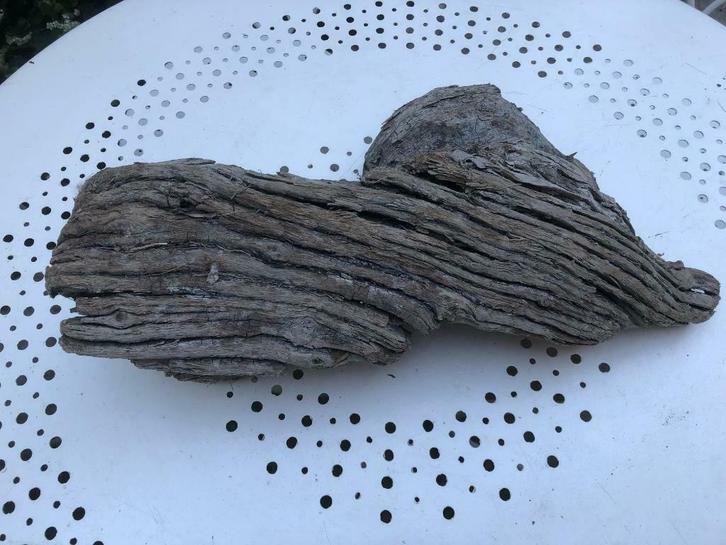 Getextureerd drijfhout Max lengte 52cm Max breedte 25 N°262, Antiek en Kunst, Kunst | Beelden en Houtsnijwerken, Verzenden