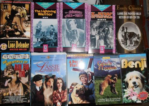 VHS Video Cassettes Cartoons and Animals, CD & DVD, VHS | Film, Autres genres, Tous les âges, Enlèvement ou Envoi