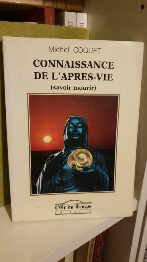 Connaissance de l'après-vie, Livres, Ésotérisme & Spiritualité, Utilisé, Enlèvement ou Envoi