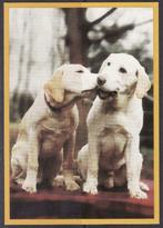 Honden 1, Verzamelen, Postkaarten | Dieren, Verzenden, Hond of Kat