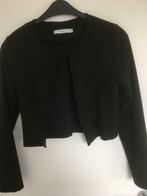 Suède jasje zwart maat 38, Kleding | Dames, Maat 38/40 (M), Zwart, Ophalen of Verzenden, Zo goed als nieuw