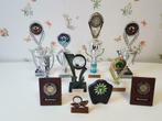 Set van 10 trofeeën boogschieten, Sport en Fitness, Handboogschieten, Ophalen of Verzenden, Zo goed als nieuw, Doelwit