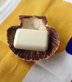 A vendre un porte-savon en coquille, Enlèvement, Comme neuf