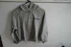 SWEAT GRIS A CAPUCHE AMERICA TODAY TAILLE M, Vêtements | Femmes, Taille 38/40 (M), Gris, Enlèvement ou Envoi, Comme neuf