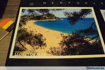 Lloret de Mar