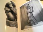 Sculptures en Belgique 260pag Caille Arnould Anthoons Bogaer, Comme neuf, Enlèvement ou Envoi, Sculpture