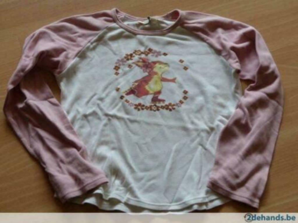 Meisjesshirt met rolschaatsend konijn 140., Ophalen, Zo goed als nieuw, Meisje, Trui of Vest