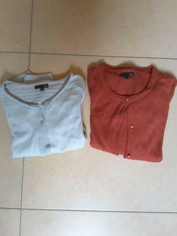 gilets / pulls fille - 12 et 14 ans