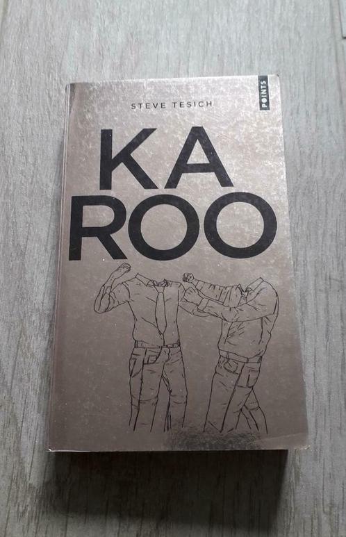 Livre "Karoo" Steve Tesich, Boeken, Romans, Zo goed als nieuw, Ophalen of Verzenden
