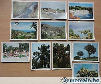 66 foto's faunaflor Congo (côte d'or) afbeeldingen prentjes, Verzamelen, Overige Verzamelen, Nieuw, Ophalen of Verzenden