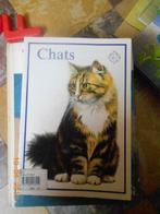 chats, Livres, Animaux & Animaux domestiques, Chats, Utilisé, Enlèvement ou Envoi