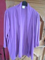 Pull Taille M / L, Vêtements | Femmes, Taille 42/44 (L), Enlèvement ou Envoi, Violet, Neuf