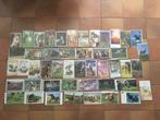 Set van 47 wenskaarten met paarden - NIEUW, Collections, Cartes postales | Animaux, Cheval, Envoi