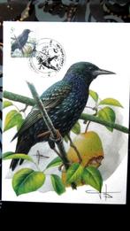 FIRST DAY OP KAART- VOGELS VAN BUZIN- DE SPREEUW, Ophalen of Verzenden, Gestempeld, Dier of Natuur