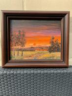 Prachtig warm schilderij, Enlèvement