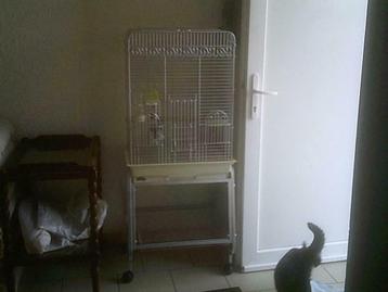 Un perchoir, une cage pour perroquet visitez mon site