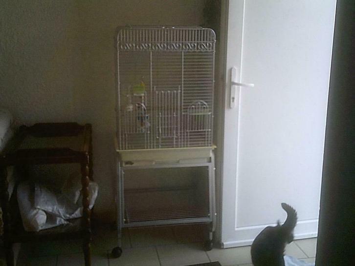 Un perchoir, une cage pour perroquet visitez mon site, Dieren en Toebehoren, Vogels | Hokken en Kooien, Zo goed als nieuw, Ophalen of Verzenden