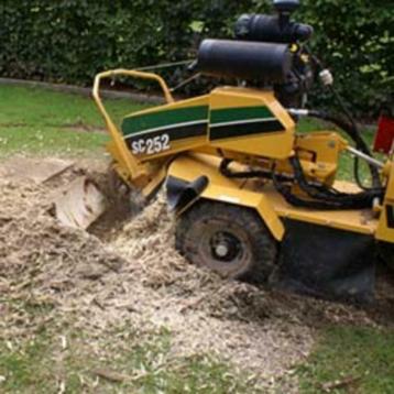 Vellen bomen, zagen en klieven beschikbaar voor biedingen