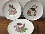 Lot de 5 coupelles en porcelaine Winterling Roslau (Bavaria)