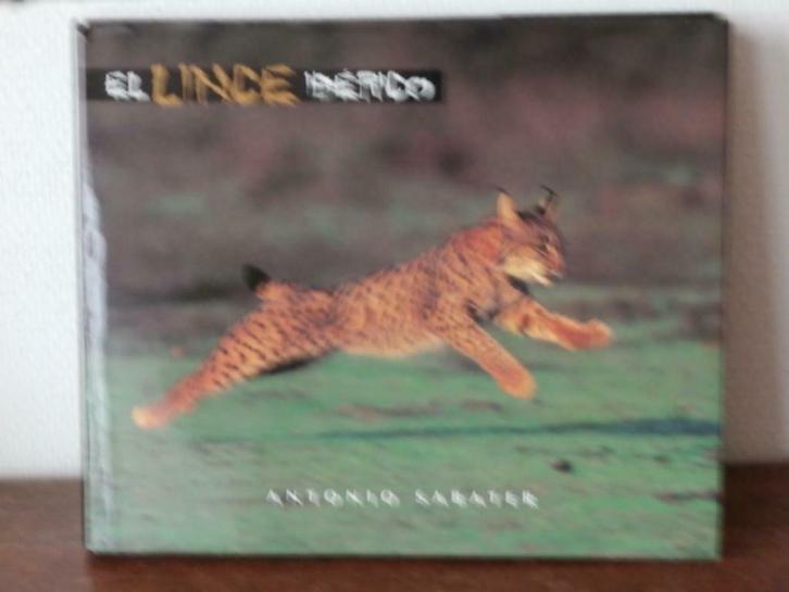 L'Iberice Linx - El lince Iberico, Livres, Science, Neuf, Sciences naturelles, Enlèvement ou Envoi