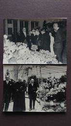 Heel oude echte foto's  Floraliën Gent. Collectors item, Verzamelen, Ophalen of Verzenden, Zo goed als nieuw, Foto