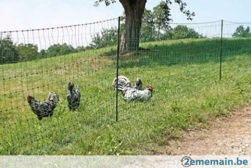 Clôture filet 15 mêtres FILET POULE VOLAILLE cloture poule, Zakelijke goederen, Landbouw | Werktuigen, Veehouderij, Werkplaats, Gebouw of Erf