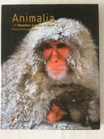 Animalia, Verzenden, Zo goed als nieuw