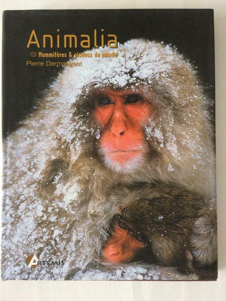 Animalia, Livres, Livres Autre, Comme neuf, Envoi
