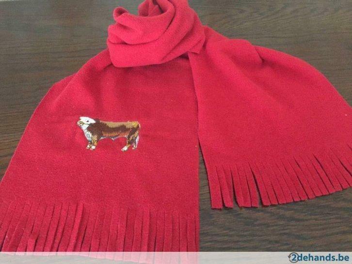 sjaals met geborduurde tekening:130cm./21cm., Kinderen en Baby's, Kinderkleding | Mutsen, Sjaals en Handschoenen, Nieuw, Sjaal