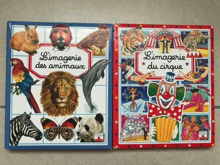 Lot de 3 livres éducatifs pour enfants à partir de 3 ans, Boeken, Kinderboeken | Baby's en Peuters, Gelezen, 3 tot 4 jaar, Ophalen