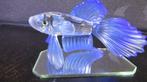 Siamese vechtvis blauw swarovski, Comme neuf, Figurine, Enlèvement ou Envoi