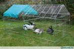 Buitenren konijnen incl zonne- bescherming - Agrodieren, Ophalen of Verzenden