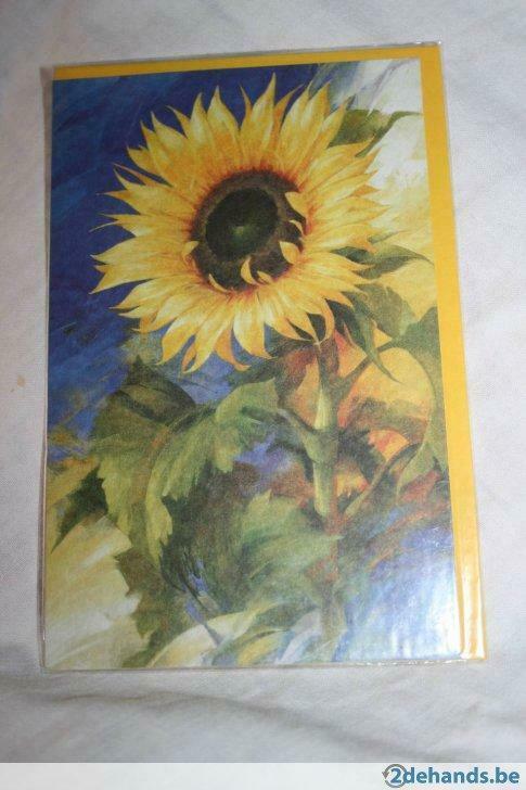 Nieuw  !  Hallmark kaarten (Gefeliciteerd) met envelop, Verzamelen, Overige Verzamelen, Nieuw, Ophalen of Verzenden