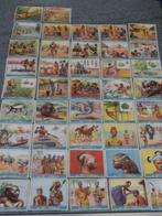 Chromo's Toffées Tréfin "Het leven in Congo", Enlèvement ou Envoi, Gravure, Étranger, Utilisé
