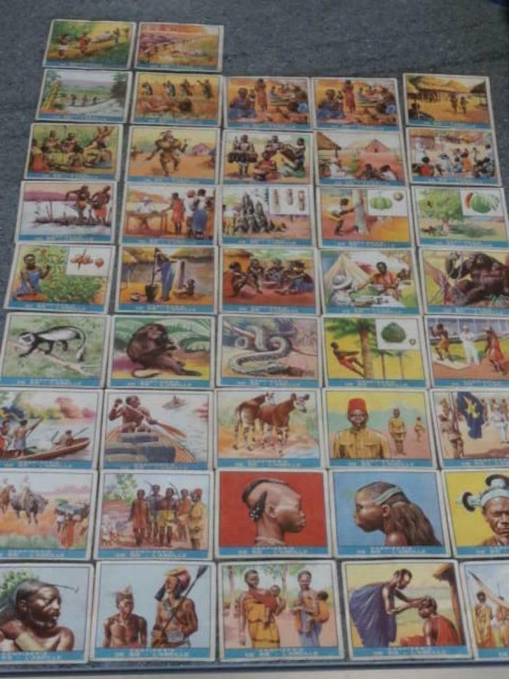 Chromo's Toffées Tréfin "Het leven in Congo", Verzamelen, Foto's en Prenten, Gebruikt, Prent, Buitenland, 1940 tot 1960, Ophalen of Verzenden