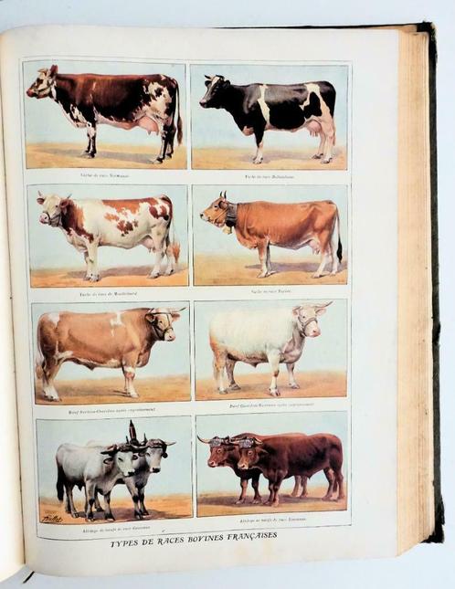 Dictionnaire Pratique de l’Agriculture moderne 1920 Sagnier, Antiquités & Art, Antiquités | Livres & Manuscrits, Enlèvement ou Envoi