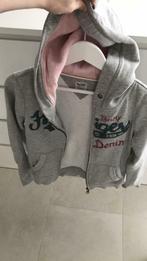 Pull capuche tommy hilfiger, Kleding | Dames, Tommy Hilfiger