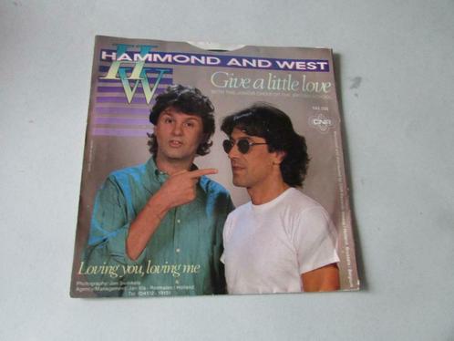 Hammond and West, Give a Little Love, single, Cd's en Dvd's, Vinyl | Pop, 1980 tot 2000, Overige formaten, Verzenden