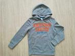 Grijze sweater met kap (maat 134), Ophalen of Verzenden, Zo goed als nieuw, Jongen, Trui of Vest