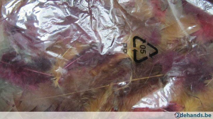 veren pluimen mixed scrapbooking card making a171, Hobby en Vrije tijd, Scrapbooking, Nieuw, Ophalen of Verzenden