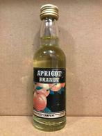 Apricot Brandy - Campeny - Mignonnette d'alcool - 45ml, Pleine, Autres types, Utilisé, Enlèvement ou Envoi