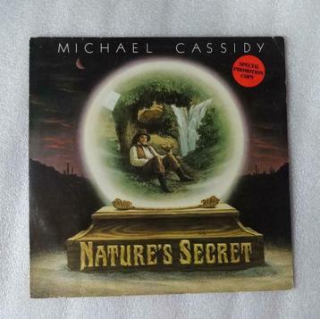Michael Cassidy, Enlèvement ou Envoi