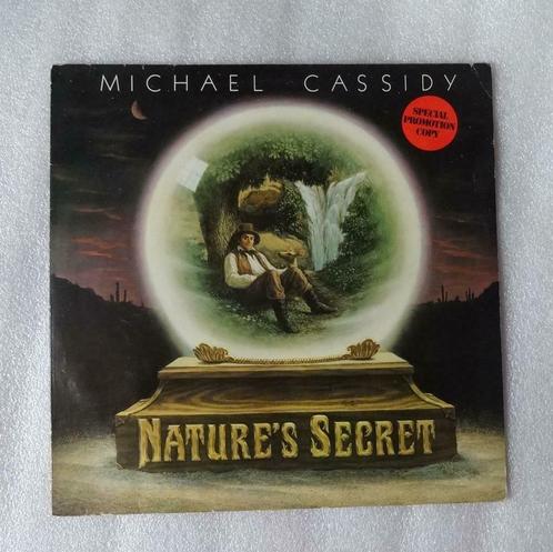 Michael Cassidy ‎, Cd's en Dvd's, Vinyl | Rock, Ophalen of Verzenden