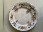 Mooi ingekleurd faience fine bord., Ophalen of Verzenden
