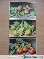 3 Sergio Bonelli fruitkaarten - Italië jaren 60, Verzamelen, Postkaarten | Buitenland, Ophalen of Verzenden