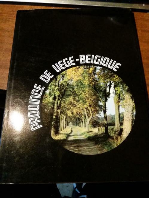 Province de Liège - Belgique, Livres, Art & Culture | Architecture, Utilisé, Autres sujets/thèmes, Enlèvement ou Envoi