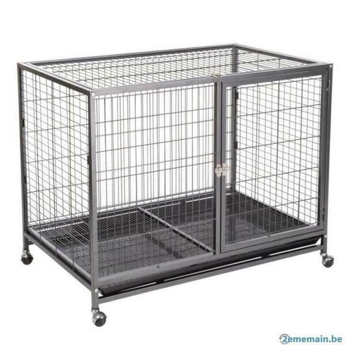 Cage perroquet pratique cage transport perroquet QUALITE, Animaux & Accessoires, Oiseaux | Accessoires, Neuf, Envoi